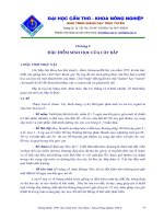 Tài liệu Đặc điểm sinh học của cây bắp doc