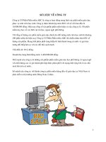 Chiến lược phát triển sản phẩm của công ty cổ phần phần mềm abc 