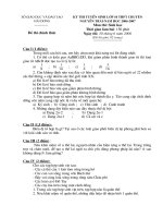 Tài liệu Đề Nguyễn Trãi