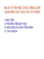 Bài soạn Bài 44: THỰC HÀNH