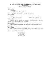 Bài giảng ĐỀ THỊ HSG LỚP 3 (Tháng 1)