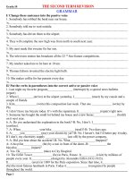 Bài soạn GRAMMAR - ENGLISH 10