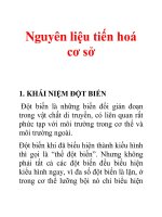 Tài liệu Nguyên liệu tiến hoá cơ sở docx