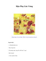 Tài liệu Đậu Phụ Lăn Vừng docx