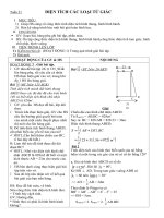Tài liệu Tự chọn Toán 8 HKII 2010-2011