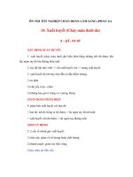 Tài liệu ÔN THI TỐT NGHIỆP CHẨN ĐOÁN LÂM SÀNG (PHẦN 11) pptx