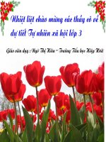 Tài liệu TNXH: Tôm cua