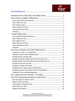 Tài liệu How to Make Money with Trading Systems pdf