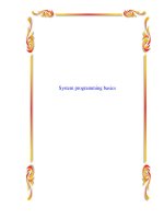 Tài liệu System programming basics doc