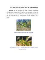 Tài liệu Tiêu thảo - Loài cây không dành cho người nóng vội doc