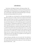 khái quát về quá trình phát triển của nền kinh tế việt nam trước và sau khi gia nhập WTO 