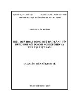 Hiệu quả hoạt động quỹ BLTD đối với DNNVV tại việt nam 
