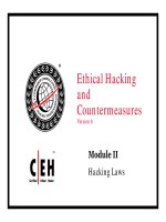 CEHv6 module 02 hacking laws 