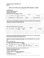 Gián án Báo cáo khối trưởng tháng 01/2011