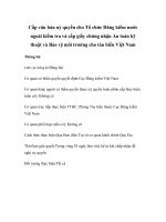 Tài liệu Cấp văn bản uỷ quyền cho Tổ chức Đăng kiểm nước ngoài kiểm tra và cấp giấy chứng nhận An toàn kỹ thuật và Bảo vệ môi trường cho tàu biển Việt Nam docx