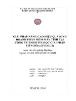 Giải pháp nâng cao hiệu quả kinh doanh phần mềm máy tính tại công ty TNHH tin học giải pháp tiến hóa ( EVOLUS) 