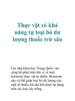Tài liệu Thực vật có khả năng tự loại bỏ dư lượng thuốc trừ sâu ppt