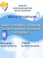 PHÂN TÍCH HOẠT ĐỘNG xúc TIẾN bán HÀNG của CÔNG TY TNHH BIA HUẾ tại THỊ TRƯỜNG THỪA THIÊN HUẾ 