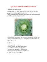 Gián án Quy trình sản xuất rau bắp cải an toàn