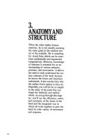 Tài liệu Drawing Dynamic Hands - Vẽ bàn tay - Phần 3 ppt