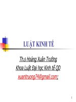 Tài liệu Slide bài giảng luật kinh tế_Chương 1 pptx