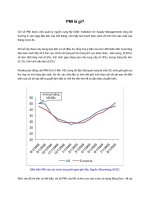 Tài liệu PMI là gì pptx