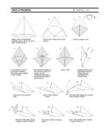 Tài liệu birdofparadise ppt