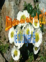 Bài giảng chuyên đề Từ và câu