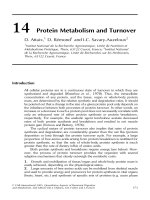 Tài liệu Quantitative aspects of ruminant digestion and metabolism - Phần 11 ppt
