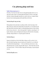 Tài liệu Các phương pháp nuôi hàu pptx