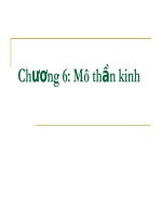 Tài liệu Chương 6: Mô thần kinh doc