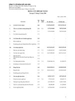 Tài liệu BẢNG CÂN ĐỐI KẾ TOÁN NĂM 2006 CỦA CÔNG TY CP GIÂÝ SÀI GÒN ppt