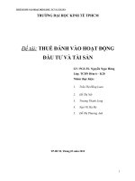 THUẾ ĐÁNH vào HOẠT ĐỘNG đầu tư và tài sản 