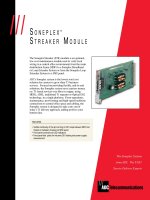 Tài liệu SONEPLEX STREAKER MODULE pdf