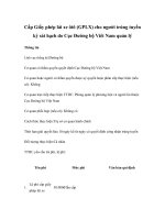 Tài liệu Cấp Giấy phép lái xe ôtô (GPLX) cho người trúng tuyển kỳ sát hạch do Cục Đường bộ Viêt Nam quản lý ppt