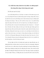 Tài liệu Chiến lược nhắm vào người tiêu dùng tiềm năng ở thị trường nước ngoài pdf