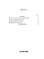Về một số đường trên siêu mặt trong không gian euclid n   chiều en 