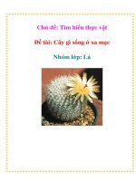 Tài liệu Chủ đề: Tìm hiểu thực vật - Đề tài: Cây gì sống ở xa mạc - Nhóm lớp: Lá pptx