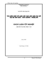 Tìm hiểu một số loài cây cho lâm sản phi gỗ tại xã yên khê, huyện con cuông, tỉnh nghệ an 