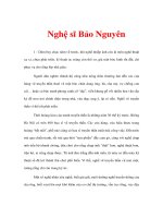 Tài liệu Nghệ sĩ Bảo Nguyên pdf