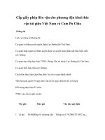 Tài liệu Cấp giấy phép liên vận cho phương tiện khai thác vận tải giữa Việt Nam và Cam Pu Chia pptx