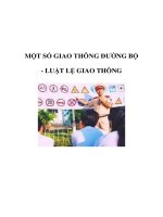 Tài liệu MỘT SỐ GIAO THÔNG ĐƯỜNG BỘ - LUẬT LỆ GIAO THÔNG pdf