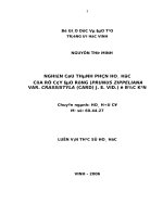 Nghiên cứu thành phần hoá học của rễ cây đào rừng (prunus zippeliana nar  crassityla ( card) j  e  vid ) ở bắc cạn 