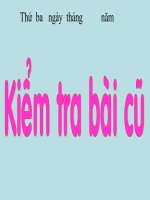 Gián án Mở rộng vốn từ cộng đồng- Ôn tập câu Ailà gì?