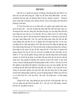 Điều chế bột trắng titan từ tinh quặng inmenit bằng phương pháp ướt 