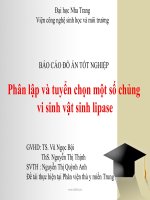 Phân lập và tuyển chọn một số chủng vi sinh vật sinh lipase 