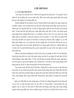 Giải pháp hoàn thiện quản trị nguồn nhân lực tại công ty TNHH SANKO MOLD VIỆT NAM đến năm 2015 