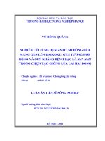 nghiên cứu ứng dụng một số dòng lúa mang gen lùn daikoku, gen tương hợp rộng và gen kháng bệnh bạc lá xa7, xa21 trong chọn tạo giống lúa lai hai dòng 