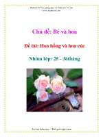 Tài liệu Chủ đề: Bé và hoa - Đề tài: Hoa hồng và hoa cúc - Nhóm lớp: 25 - 36tháng docx