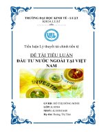 Tiểu luận đầu tư nước NGOÀI tại VIỆT NAM 